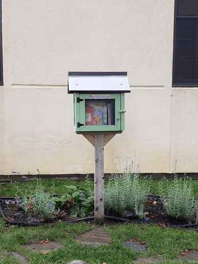 Green little free library in a small flowerbed in front of UCC Missoula