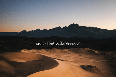 Into the Wilderness: Art Blog